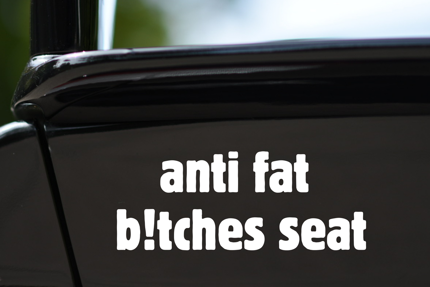 Sticker "anti fat b!tches seat"
